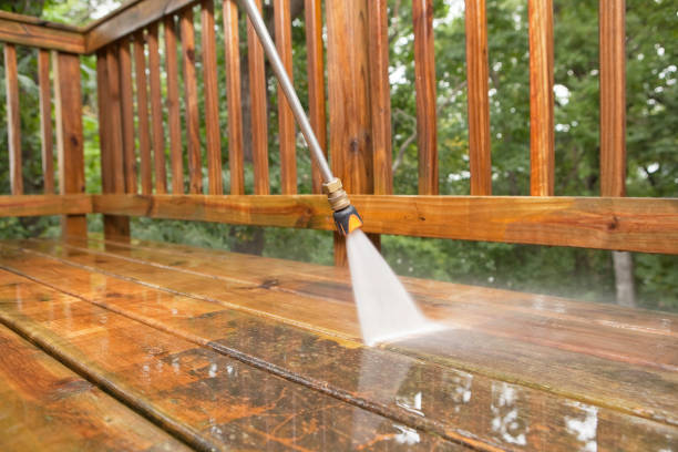 Local Pressure Washing Services in Agua Dulce, TX